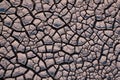 Dry cracked ground. Top view. Arid land, drought. Royalty Free Stock Photo