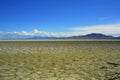 Dry, cracked lakebed stretching to horizon Royalty Free Stock Photo