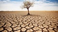 Dry cracked land with dead tree and sky in background a concept of global warming. Generative AI Royalty Free Stock Photo