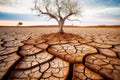 Dry cracked land with dead tree and sky in background a concept of global warming. Generative AI Royalty Free Stock Photo