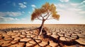 Dry cracked land with dead tree and sky in background a concept of global warming. Generative AI Royalty Free Stock Photo