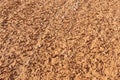 dry cracked land in the desert