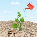 Dry cracked land with plant sprout and watering can. Young tree growing on arid ground.