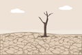 Dry Cracked Land. Soil Erosion and Desertification Royalty Free Stock Photo