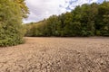 Rough ground surface, texture with desiccation cracks