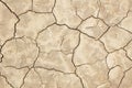 Dry Cracked Mud Texture Royalty Free Stock Photo