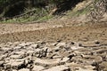 Dry cracked river bed in South Africa. Drought concept