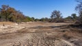 A dry and cracked riverbed with sp shrubs and trees a result of prolonged heatwaves and lack of water from deforestation