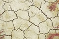 Dry cracked saline land, natural calamity background