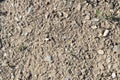 Dry cracked soil brown. Green plants grow on the ground. View from Royalty Free Stock Photo