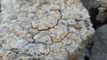 Dry, cracked soil caused by drought.