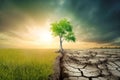 Dry cracked soil after cutting down trees. Lonely remaining tree. Concept of climate change or global warming. Soil erosion. Royalty Free Stock Photo