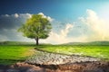 Dry cracked soil after cutting down trees. Lonely remaining tree. Concept of climate change or global warming. Soil erosion. Royalty Free Stock Photo