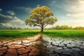 Dry cracked soil after cutting down trees. Lonely remaining tree. Concept of climate change or global warming. Soil erosion. Royalty Free Stock Photo