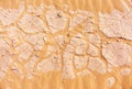 Dry cracked soil. Desert texture Royalty Free Stock Photo