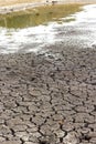 Dry cracked soil, dry lake shore