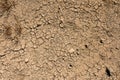 Dry cracked soil in a field during drought. Global warming problem. Ecology issue. Earth dying concept. Effect of water shortage Royalty Free Stock Photo