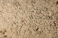 Dry cracked soil in a field during drought. Global warming problem. Ecology issue. Earth dying concept. Effect of water shortage Royalty Free Stock Photo