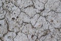 Dry cracked soil, gray background Royalty Free Stock Photo