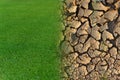 Dry cracked soil and green grass in environment global warming concept Royalty Free Stock Photo