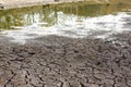 Dry cracked soil, dry lake shore Royalty Free Stock Photo