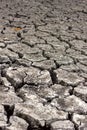 Dry cracked soil, dry lake shore Royalty Free Stock Photo