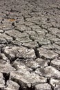 Dry cracked soil, dry lake shore