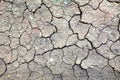 dry cracked soil texture and cracked brown mud surface .the ground has cracks in the top view for the background or graphic design Royalty Free Stock Photo