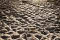 Dry cracked soil texture, Cracked  parched earth. Royalty Free Stock Photo