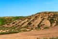 Dry cracked takir soil in semi-desert in Russia. Nature landscape