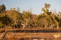 Dry creek bed. Flinders Ranges. South Australia. Royalty Free Stock Photo