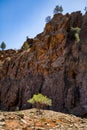 Glass Gorge in the Flinders Ranges, South Australia Royalty Free Stock Photo