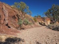 Dry Creek lined with Ochre pits Royalty Free Stock Photo