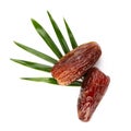 Dry dates isolated on white background. Top view. Flat lay pattern Royalty Free Stock Photo