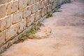 Dead dry grass three weeks after weed killer herbicide spraying to control unwanted plants and grass on a backyard. House building Royalty Free Stock Photo