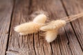 Dry decorative grass on rustic table Royalty Free Stock Photo