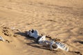 Dry desert with animal bones Royalty Free Stock Photo