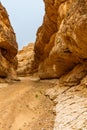 Dry, desert canyon . Mides, Tunisia, Africa Royalty Free Stock Photo