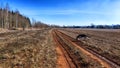 A dry dirt clay rural road in a field, stretching to the horizon in early spring. Rustic landscape