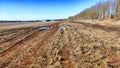 A dry dirt clay rural road in a field, stretching to the horizon in early spring. Rustic landscape