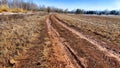 A dry dirt clay rural road in a field, stretching to the horizon in early spring. Rustic landscape