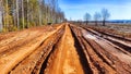 A dry dirt clay rural road in a field, stretching to the horizon in early spring. Rustic landscape