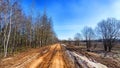 A dry dirt clay rural road in a field, stretching to the horizon in early spring. Rustic landscape