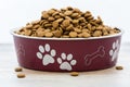 Dry dog and cat food in scratched red bowl. Pile of kibbles