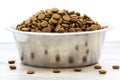 Dry dog and cat food in stainless steel bowl. Pile of kibbles