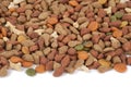 Dry dog food Royalty Free Stock Photo