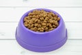 Dry dog food in plastic purple bowl on light wooden floor