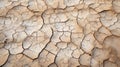 dry dried lake bed Royalty Free Stock Photo