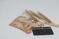 Dry ears nearby are banknotes, the global food crisis, grain exports, crop growth Royalty Free Stock Photo