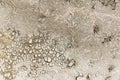 Dry earth background with curious shapes Royalty Free Stock Photo